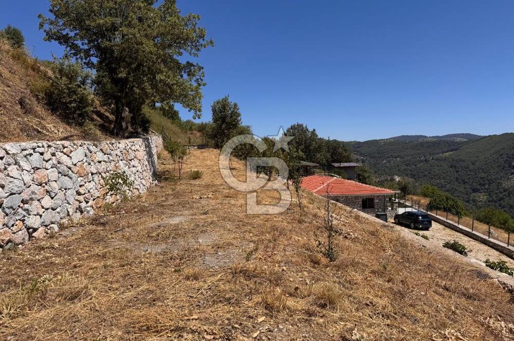 Güzelbahçe Payamlı’da Bahçe İçinde Orijinal Taş Ev
