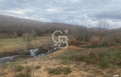 YALOVA ALTINOVA ÖRENCİK KÖYÜ 8431,76 M2 FINDIKBAHÇESİ !