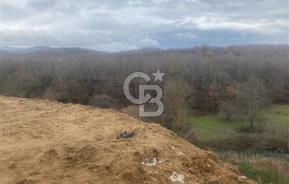 YALOVA ALTINOVA ÖRENCİK KÖYÜ 8431,76 M2 FINDIKBAHÇESİ !