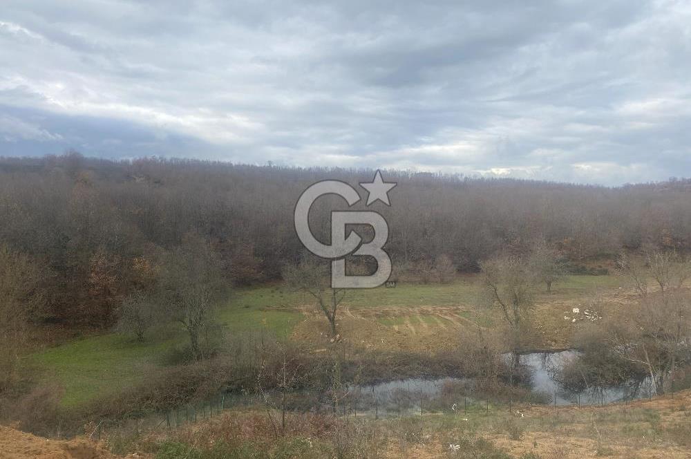 YALOVA ADNAN MENDERES MAH. TOKİ EVLERİNDE KİRALIK 2+1 DAİRE..!!