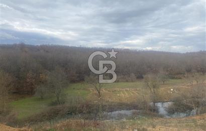 YALOVA ADNAN MENDERES MAH. TOKİ EVLERİNDE KİRALIK 2+1 DAİRE..!!