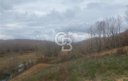 YALOVA ALTINOVA ÖRENCİK KÖYÜ 8431,76 M2 FINDIKBAHÇESİ !