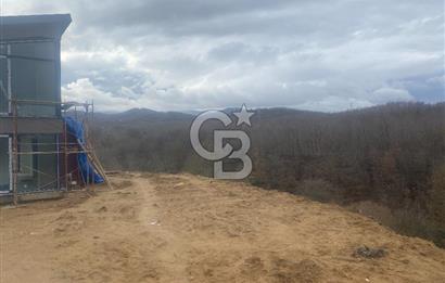 YALOVA ALTINOVA ÖRENCİK KÖYÜ 8431,76 M2 FINDIKBAHÇESİ !