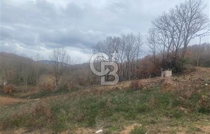 YALOVA ALTINOVA ÖRENCİK KÖYÜ 8431,76 M2 FINDIKBAHÇESİ !