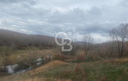 YALOVA ALTINOVA ÖRENCİK KÖYÜ 8431,76 M2 FINDIKBAHÇESİ !