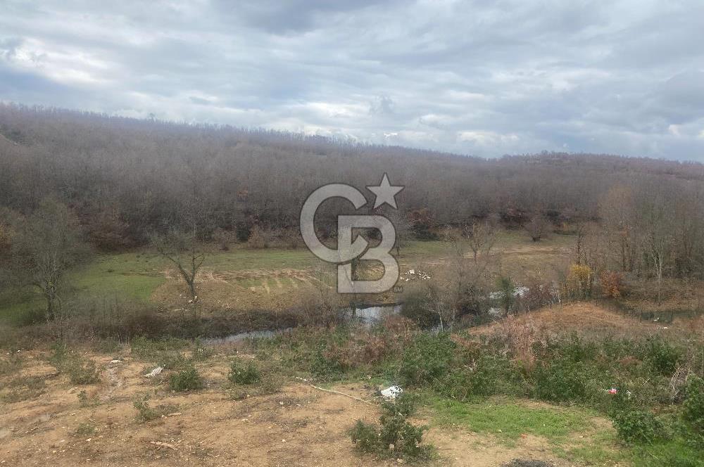 YALOVA ALTINOVA ÖRENCİK KÖYÜ 8431,76 M2 FINDIKBAHÇESİ !