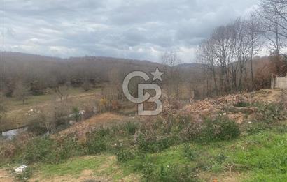 YALOVA ALTINOVA ÖRENCİK KÖYÜ 8431,76 M2 FINDIKBAHÇESİ !