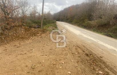 YALOVA ALTINOVA ÖRENCİK KÖYÜ 8431,76 M2 FINDIKBAHÇESİ !