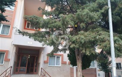 YALOVA ADNAN MENDERES MAH. TOKİ EVLERİNDE KİRALIK 2+1 DAİRE..!!