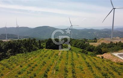 Ana Asfalta Sıfır -12.136 m² Tarla vasıflı | 100 m Yola Cepheli