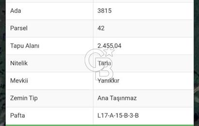 Çeşmealtı Denizli Mah de Satılık 2455m2 Tarla