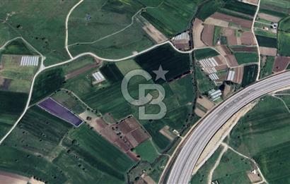 CB KİNG'DEN ÜÇPINAR MAHALLESİ 4649 m² SATILIK TARLA