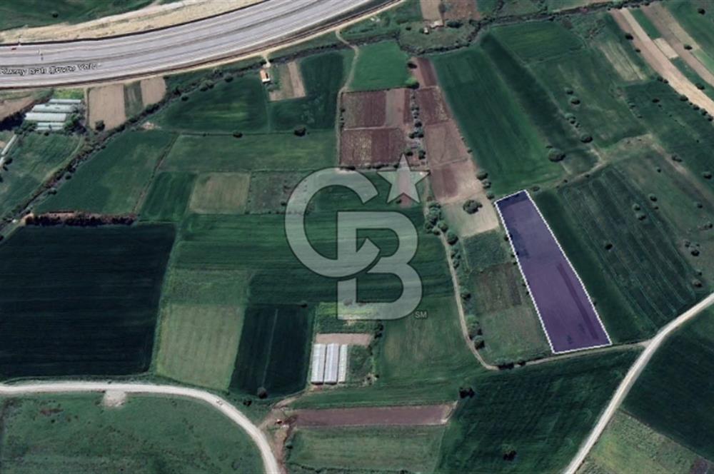 CB KİNG'DEN ÜÇPINAR MAHALLESİ 4649 m² SATILIK TARLA