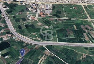 CB KİNG'DEN ÜÇPINAR MAHALLESİ 4649 m² SATILIK TARLA - 9 - 326227