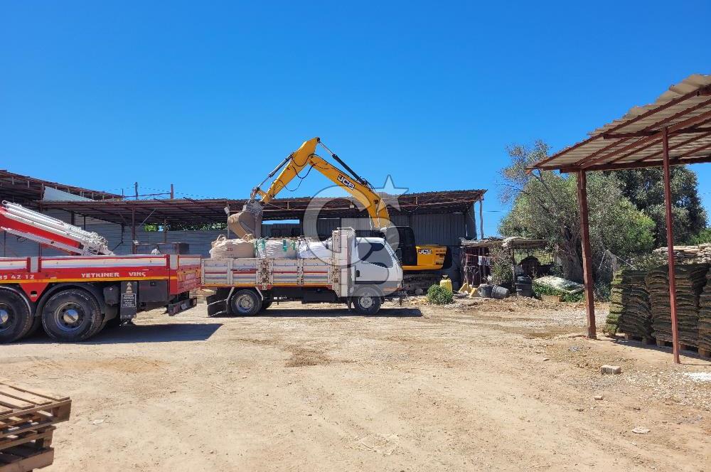 izmir urla devren kiralık işyeri