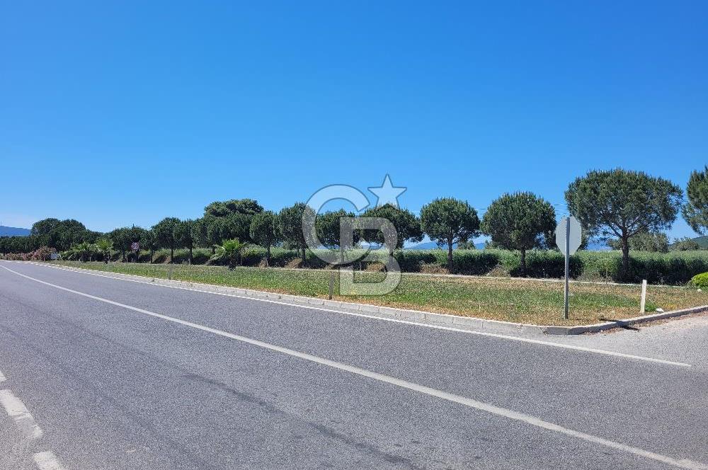 izmir urla devren kiralık işyeri