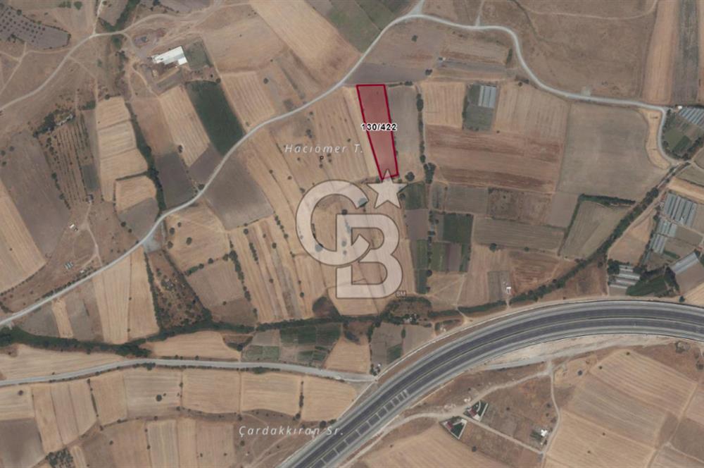 CB KİNG'DEN ÜÇPINAR MAHALLESİ 4649 m² SATILIK TARLA