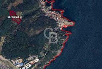 Ferit KUTLUAY'dan KARASU DA 9.000M2 SATILIK FINDIKLIK - 1 - 326254