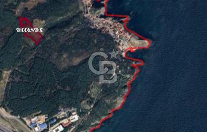 Ferit KUTLUAY'dan KARASU DA 9.000M2 SATILIK FINDIKLIK