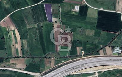 CB KİNG'DEN ÜÇPINAR MAHALLESİ 4649 m² SATILIK TARLA