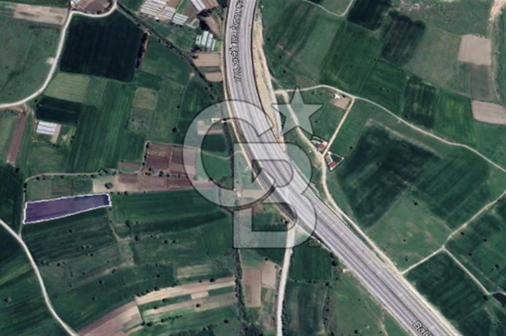 CB KİNG'DEN ÜÇPINAR MAHALLESİ 4649 m² SATILIK TARLA