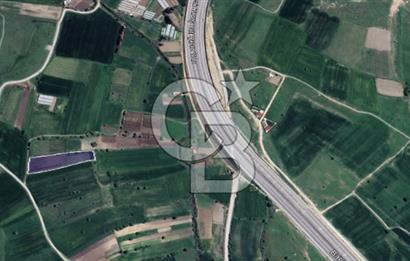 CB KİNG'DEN ÜÇPINAR MAHALLESİ 4649 m² SATILIK TARLA