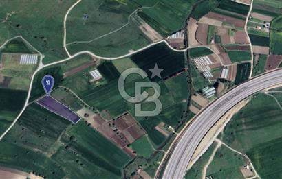 CB KİNG'DEN ÜÇPINAR MAHALLESİ 4649 m² SATILIK TARLA