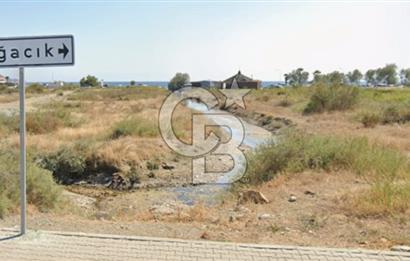 Akarca Sahilde Denize Sıfır Tarla