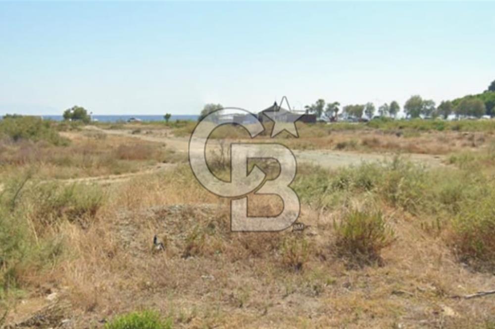 Akarca Sahilde Denize Sıfır Tarla