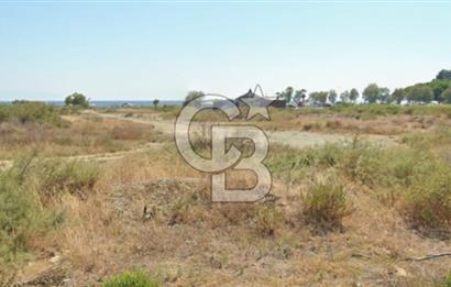 Akarca Sahilde Denize Sıfır Tarla