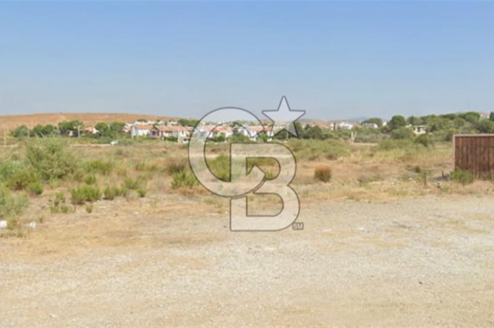 Akarca Sahilde Denize Sıfır Tarla