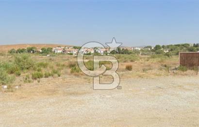 Akarca Sahilde Denize Sıfır Tarla