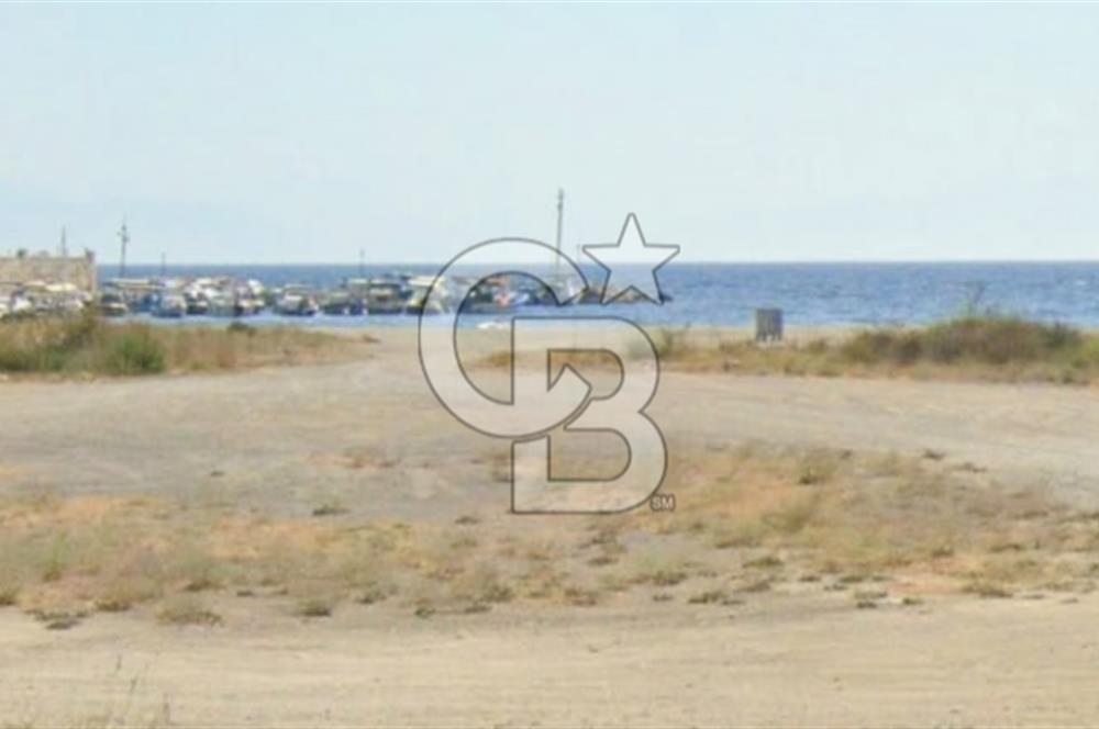 Akarca Sahilde Denize Sıfır Tarla