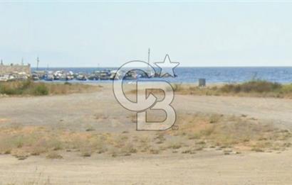 Akarca Sahilde Denize Sıfır Tarla