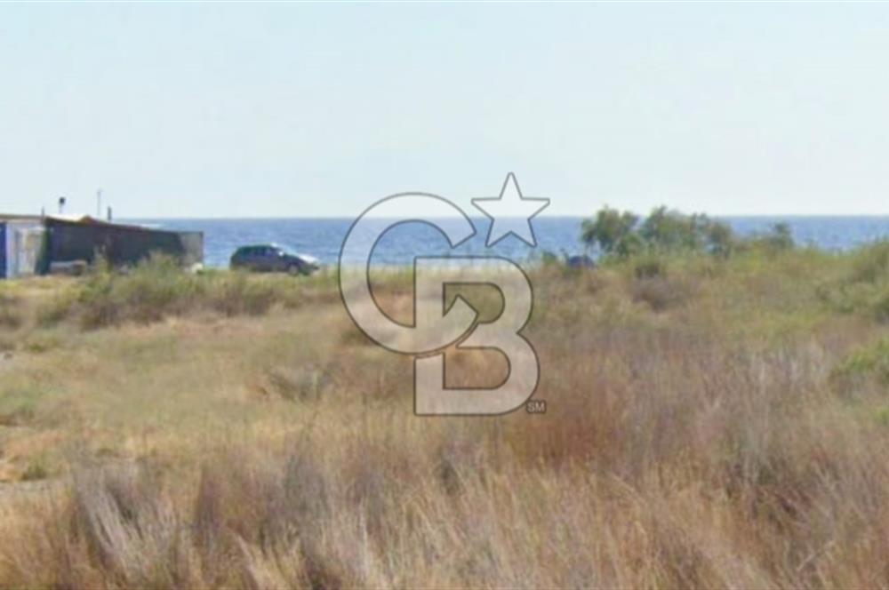 Akarca Sahilde Denize Sıfır Tarla