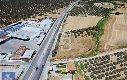 Ticari Nitelikli Arsa