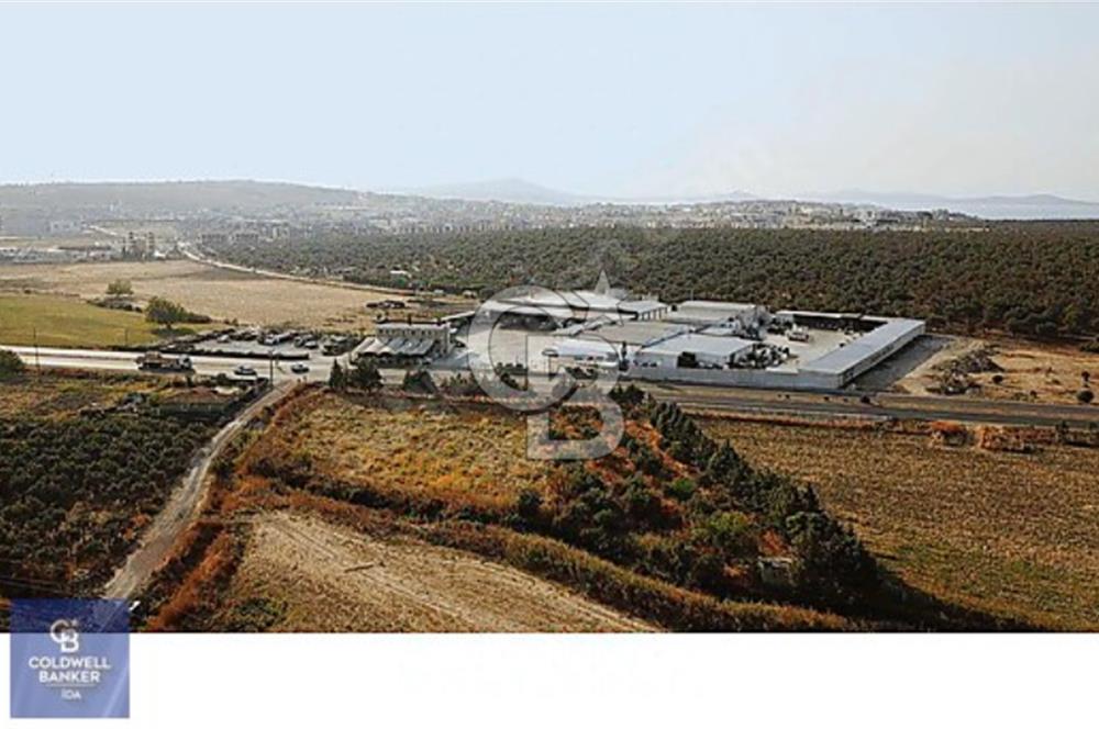 Ticari Nitelikli Arsa