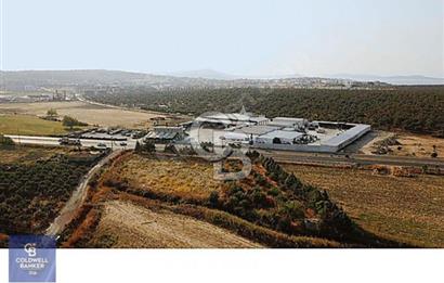 Ticari Nitelikli Arsa