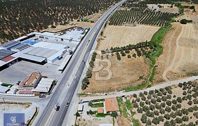 Ticari Nitelikli Arsa