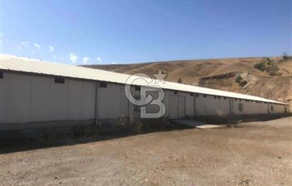 Çankırı Merkez'de Anahtar Teslim, Faal Tavuk Çiftliği!