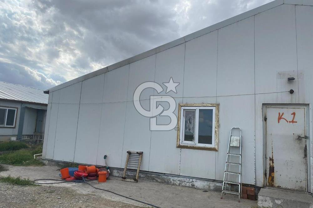 Çankırı Merkez'de Anahtar Teslim, Faal Tavuk Çiftliği!