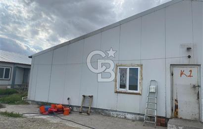 Çankırı Merkez'de Anahtar Teslim, Faal Tavuk Çiftliği!