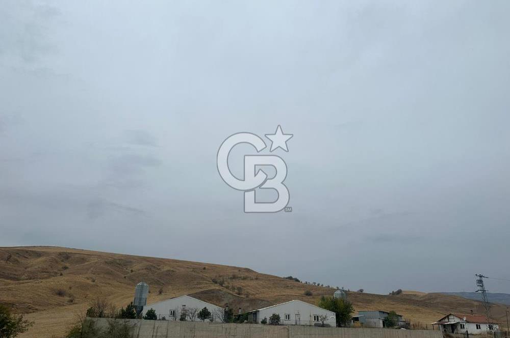 Çankırı Merkez'de Anahtar Teslim, Faal Tavuk Çiftliği!