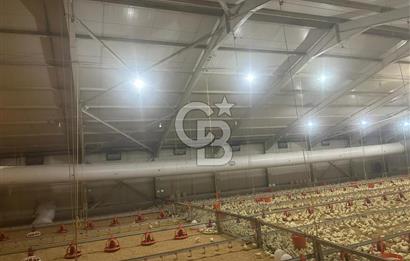 Çankırı Merkez'de Anahtar Teslim, Faal Tavuk Çiftliği!