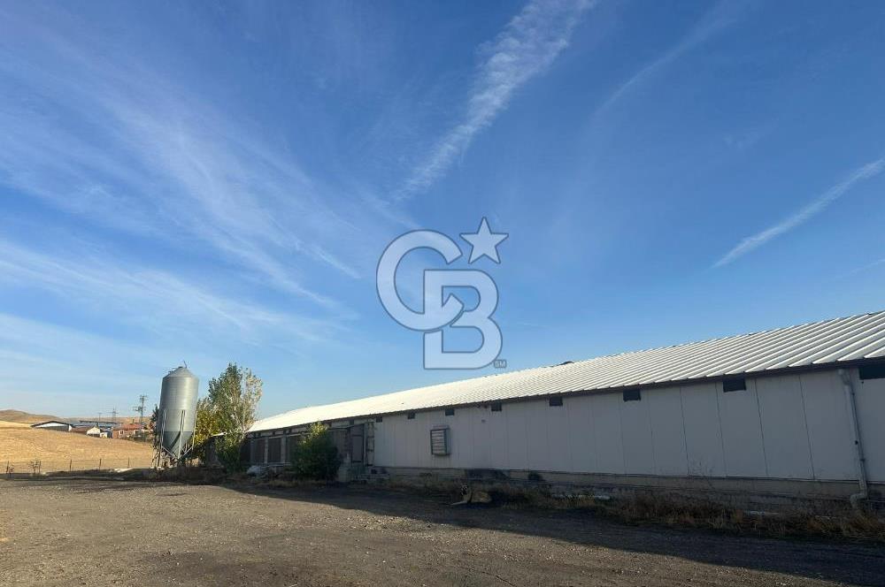 Çankırı Merkez'de Anahtar Teslim, Faal Tavuk Çiftliği!