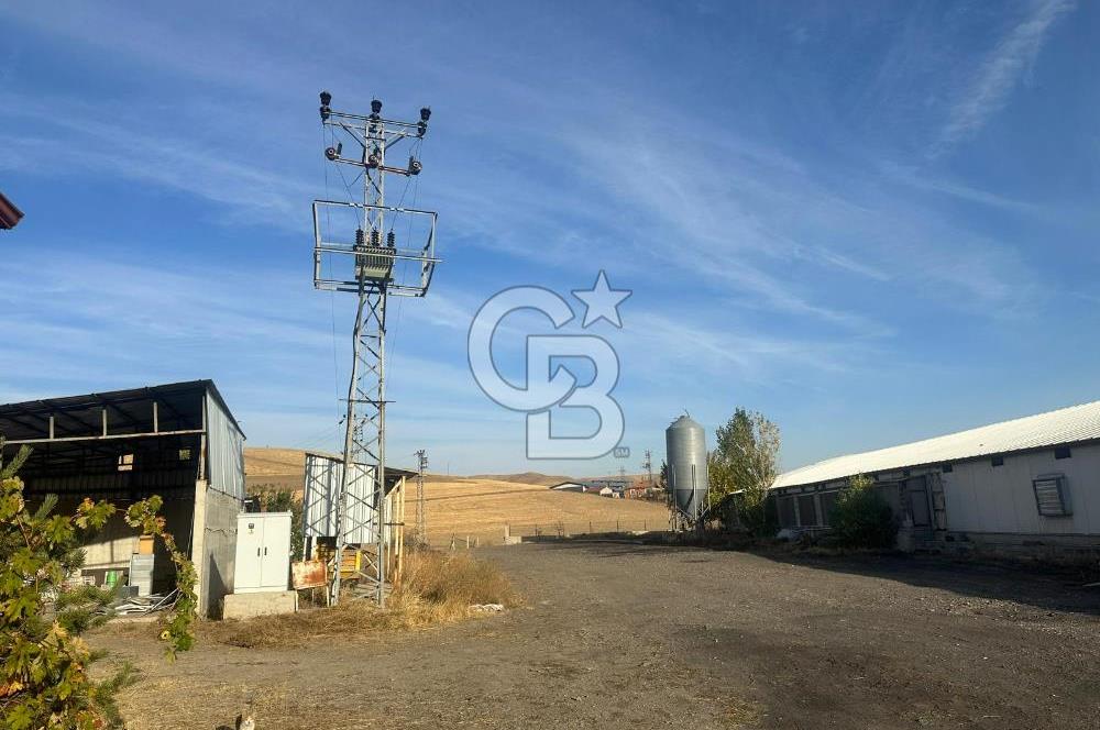 Çankırı Merkez'de Anahtar Teslim, Faal Tavuk Çiftliği!