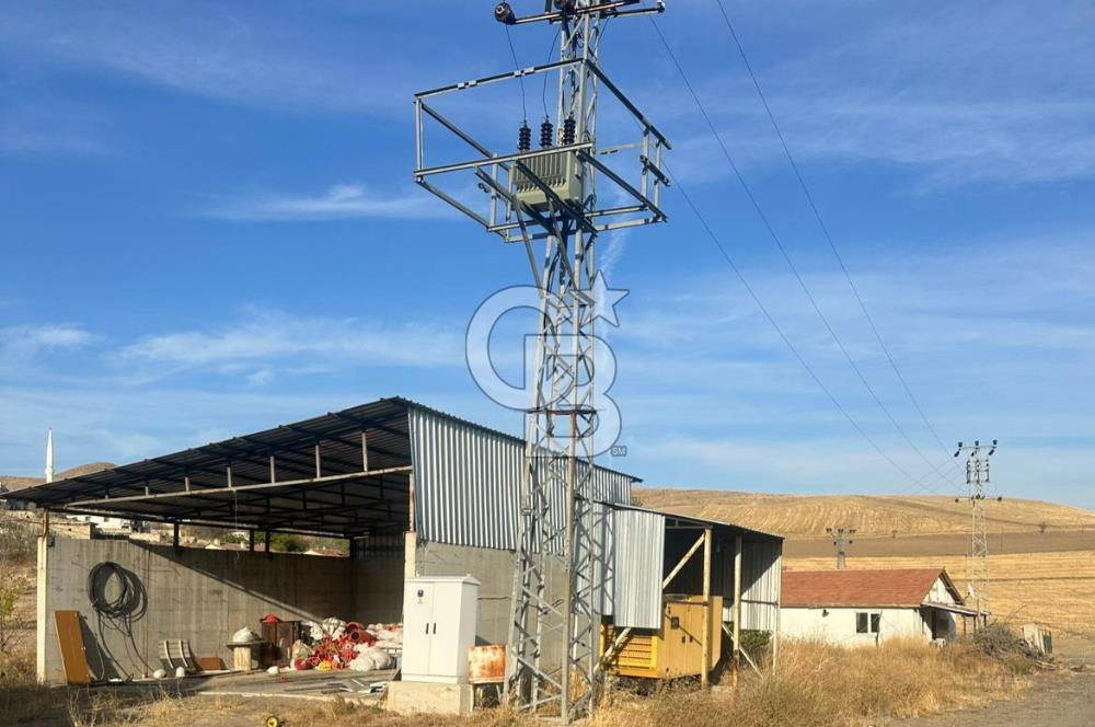 Çankırı Merkez'de Anahtar Teslim, Faal Tavuk Çiftliği!