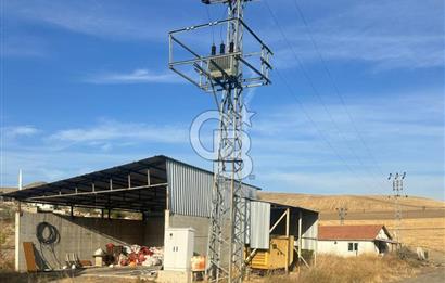 Çankırı Merkez'de Anahtar Teslim, Faal Tavuk Çiftliği!