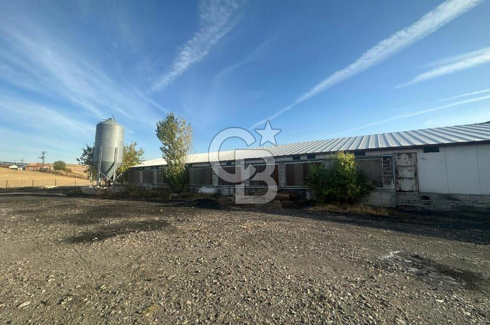 Çankırı Merkez'de Anahtar Teslim, Faal Tavuk Çiftliği!