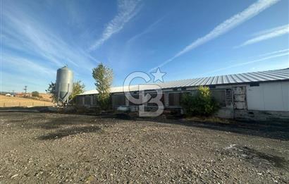 Çankırı Merkez'de Anahtar Teslim, Faal Tavuk Çiftliği!